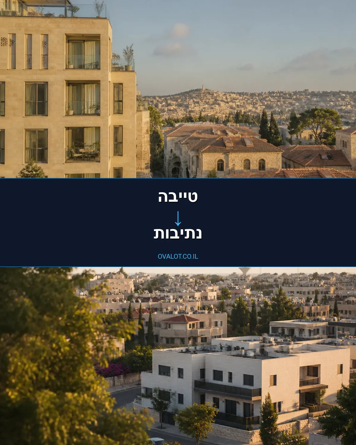 הובלות יצירות אמנות מטייבה לנתיבות