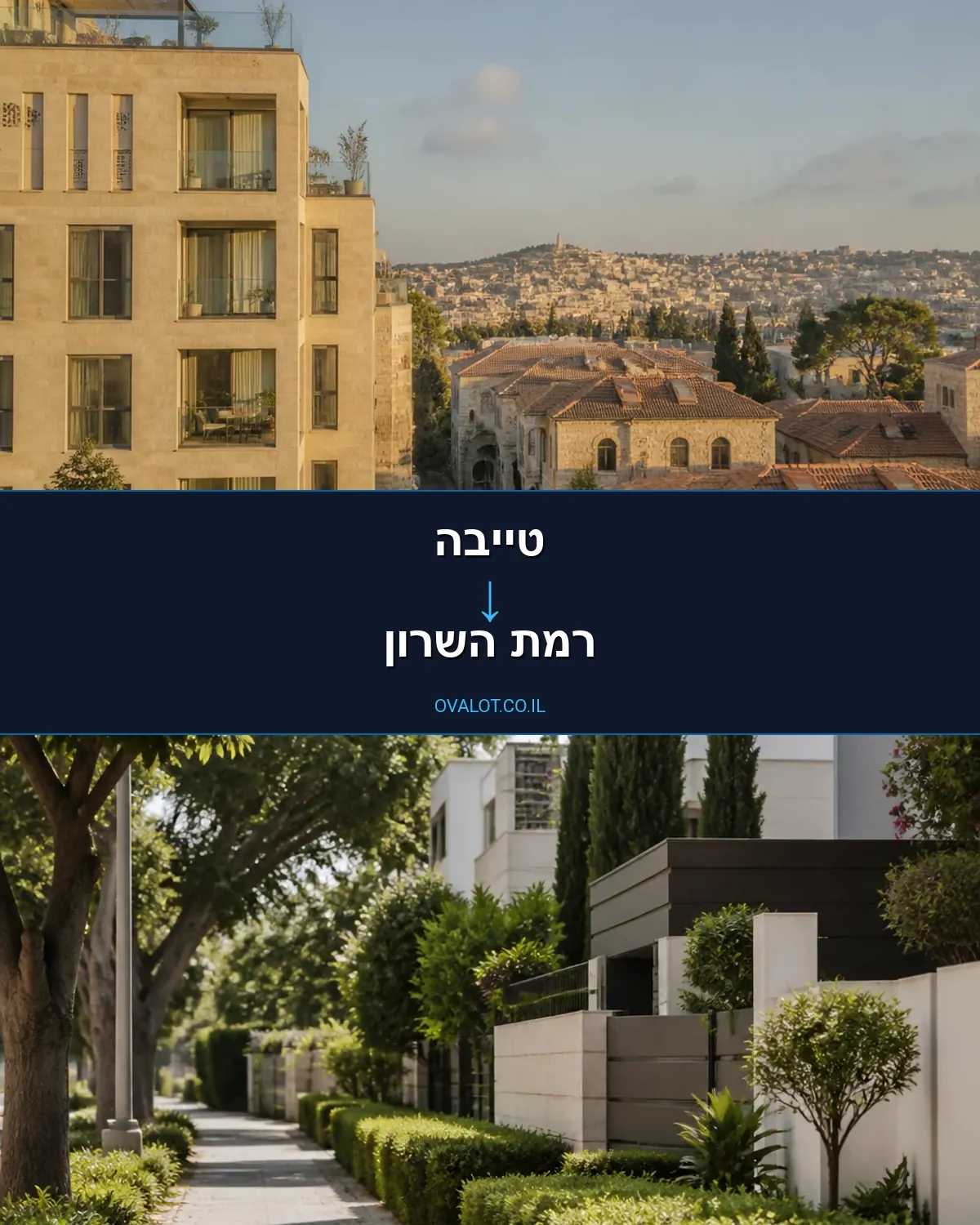 הובלות יצירות אמנות מטייבה לרמת השרון