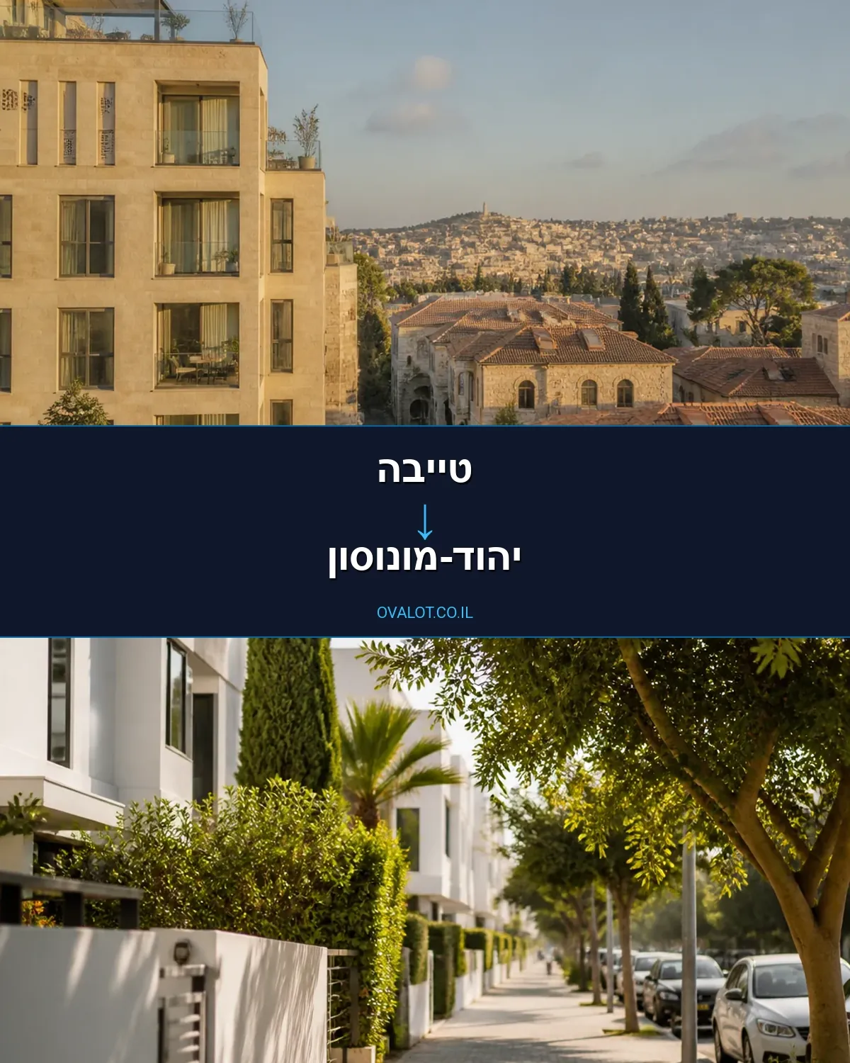 הובלות יצירות אמנות מטייבה ליהוד-מונוסון