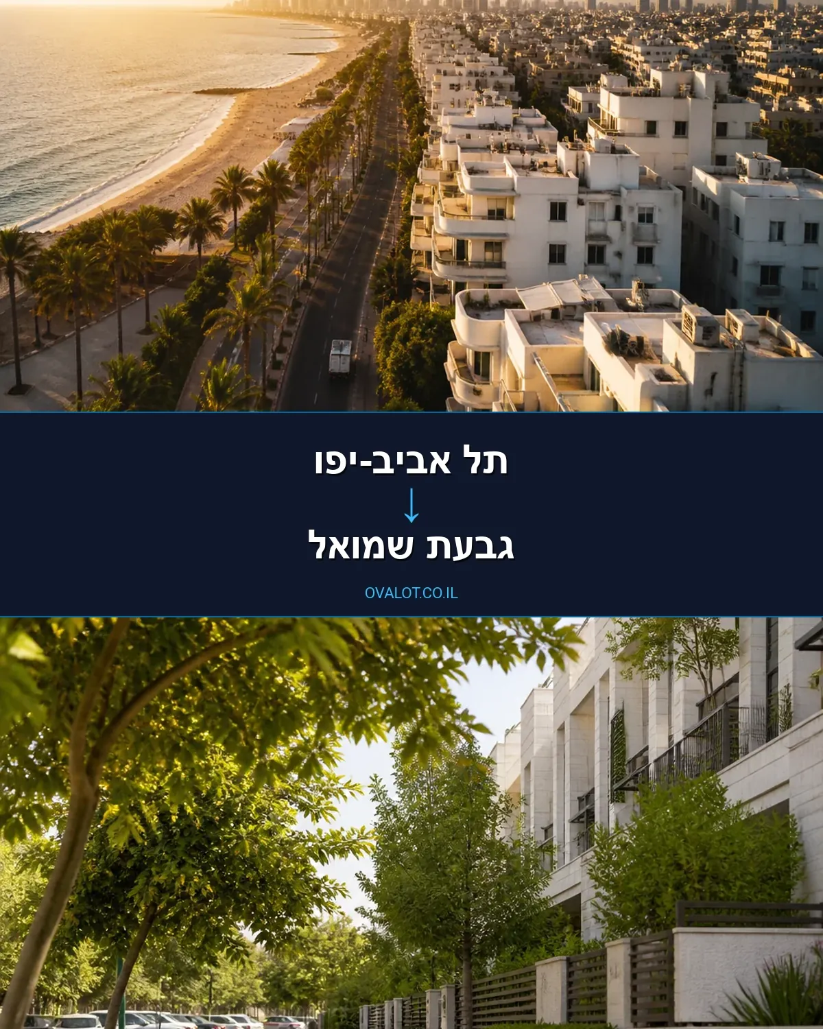 שירותי אריזה מתל אביב-יפו לגבעת שמואל