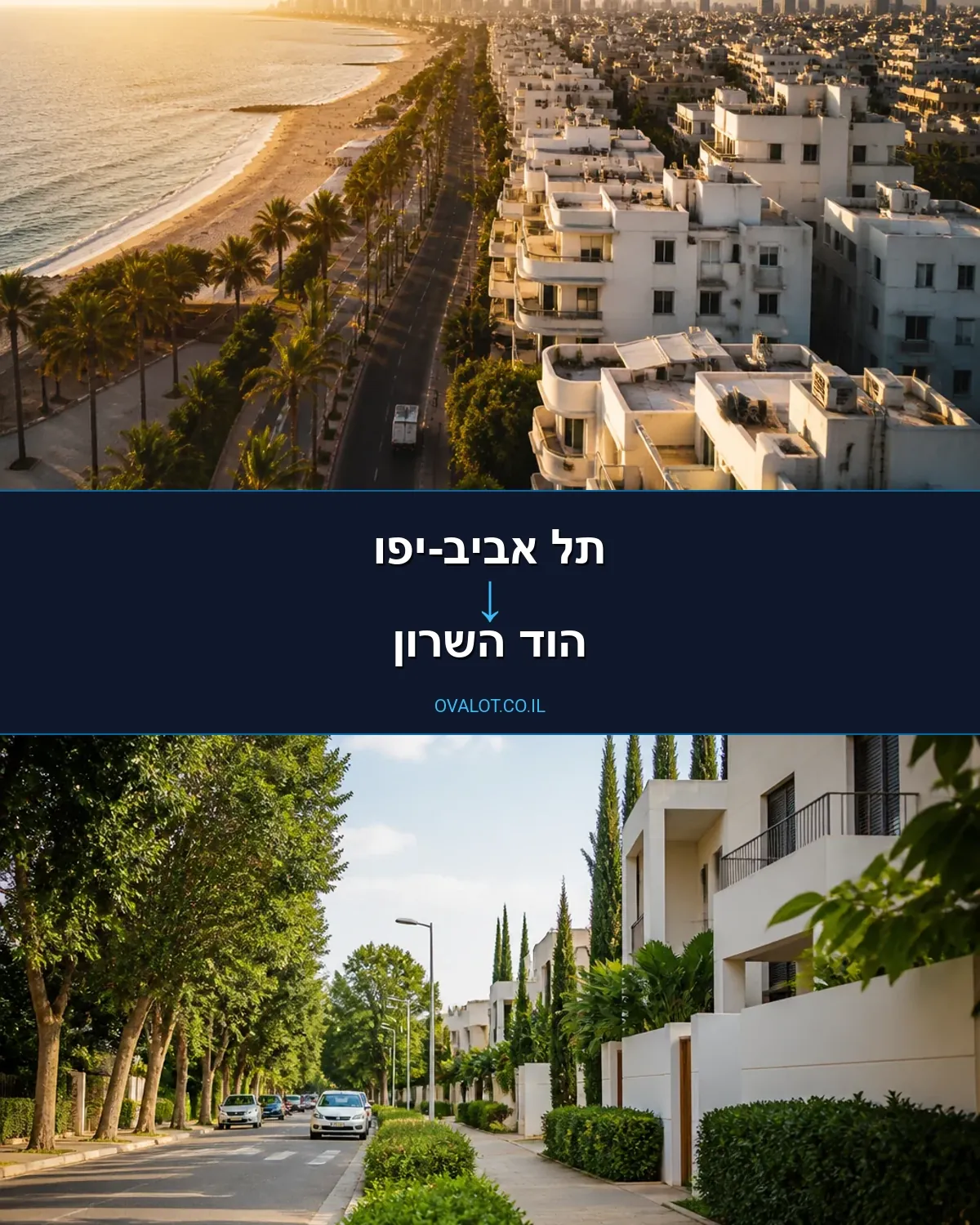 הובלות עם מנוף מתל אביב-יפו להוד השרון