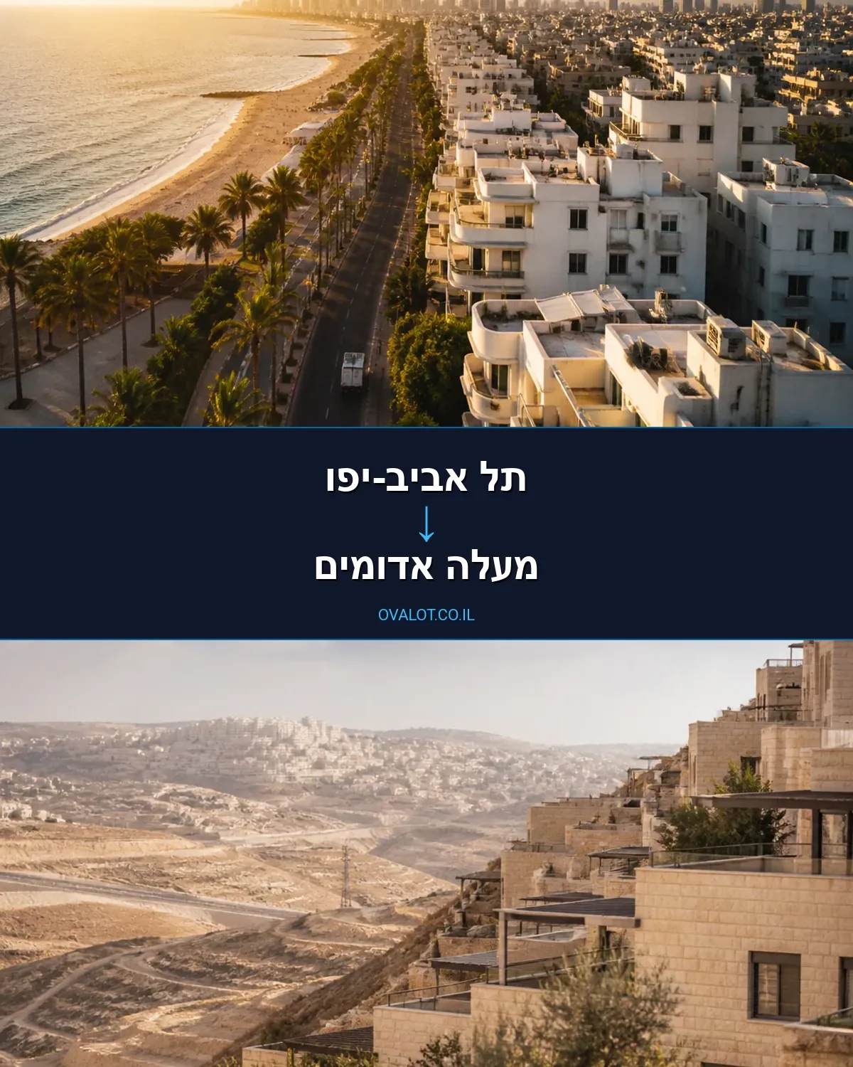 הובלות יצירות אמנות מתל אביב-יפו למעלה אדומים