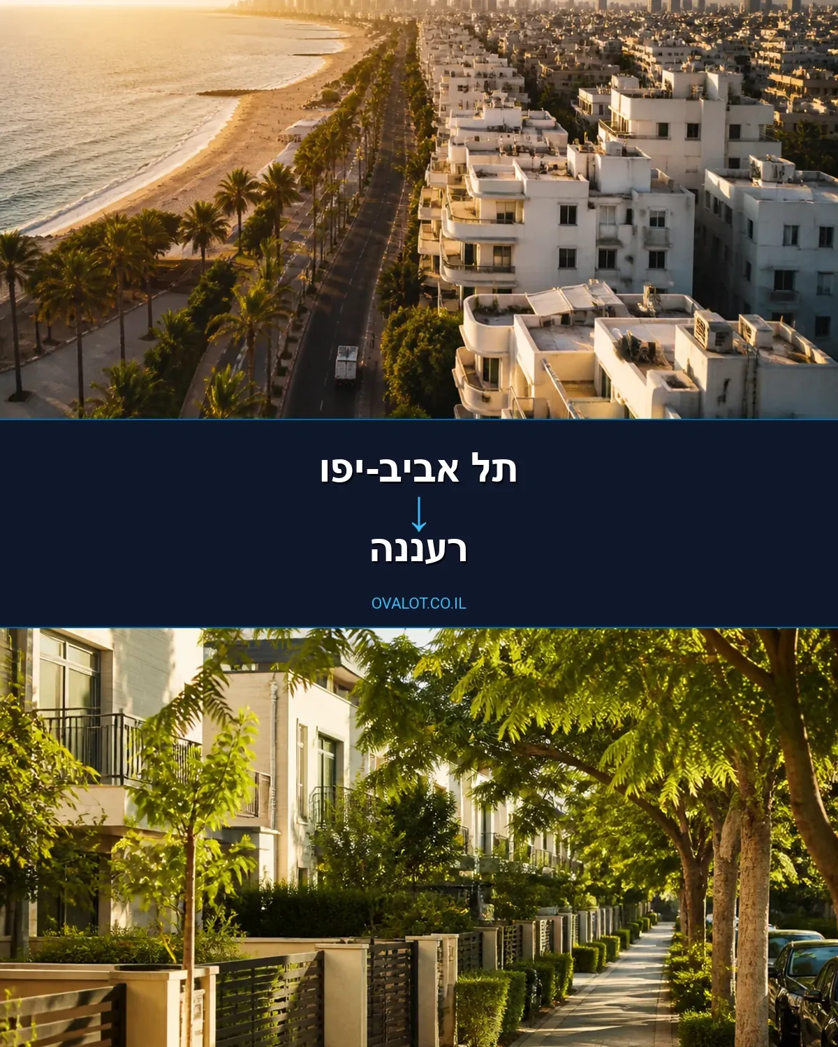 שירותי אריזה מתל אביב-יפו לרעננה