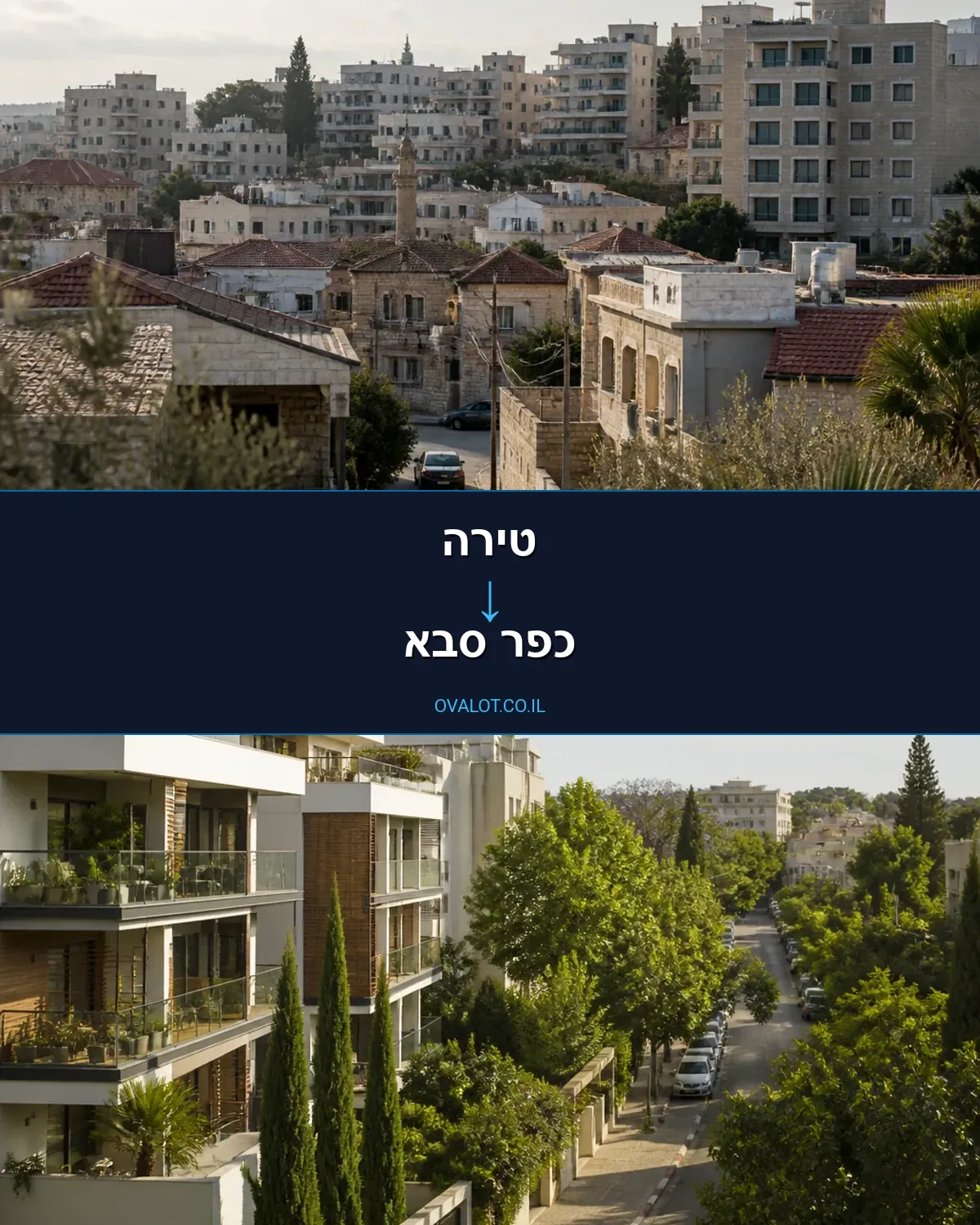 הובלה בקירור מטירה לכפר סבא