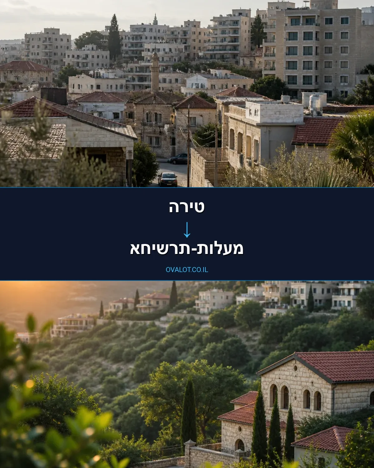 שירותי אריזה מטירה למעלות-תרשיחא