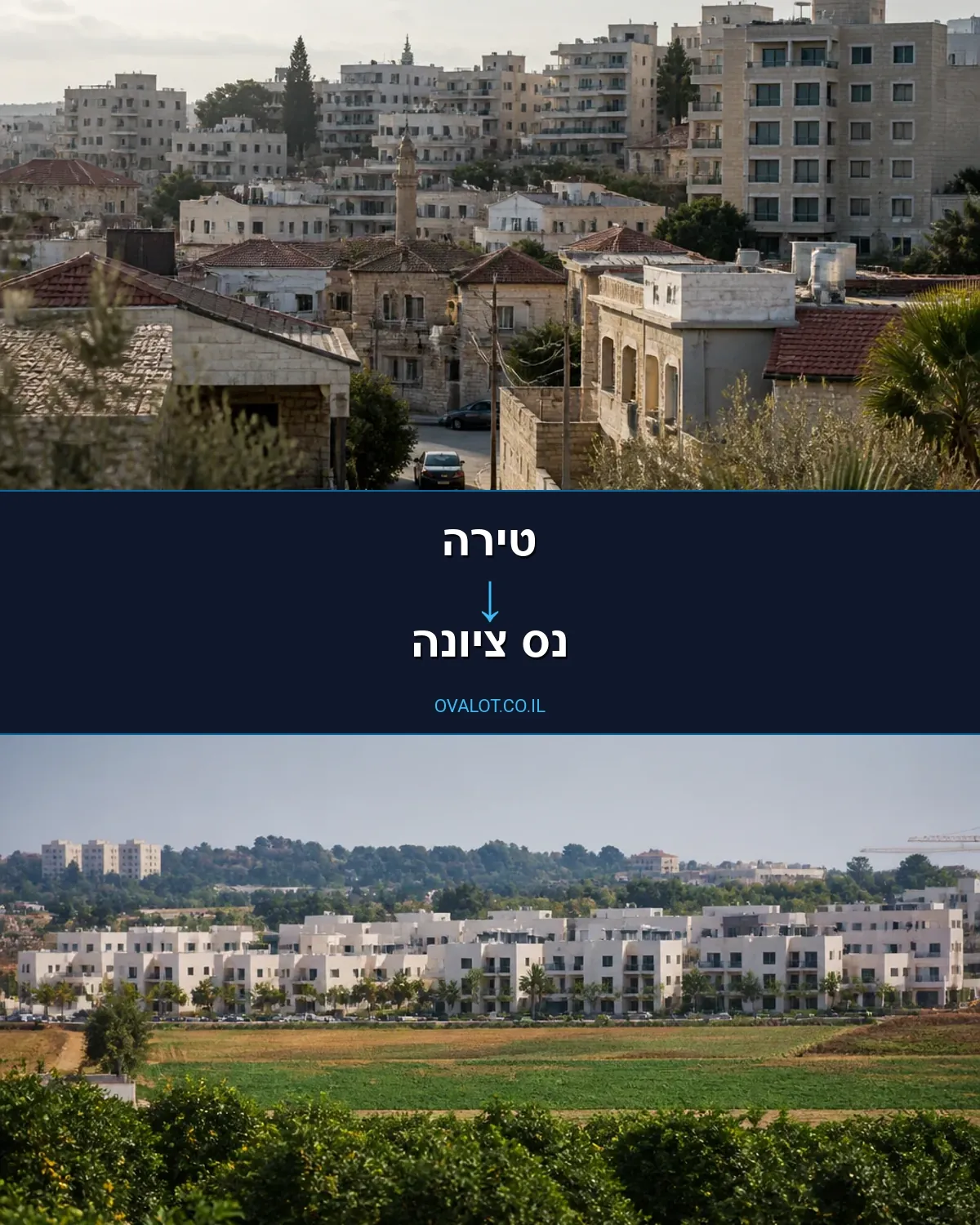 הובלות דירה מטירה לנס ציונה
