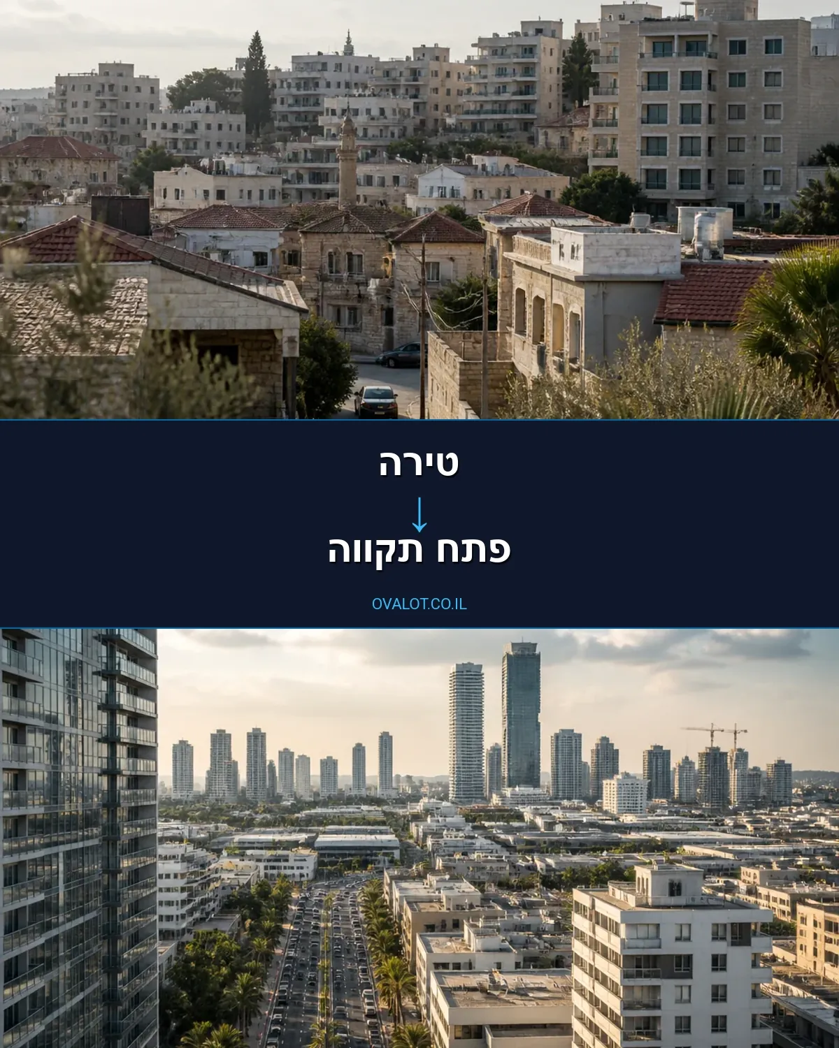 הובלות עם מנוף מטירה לפתח תקווה