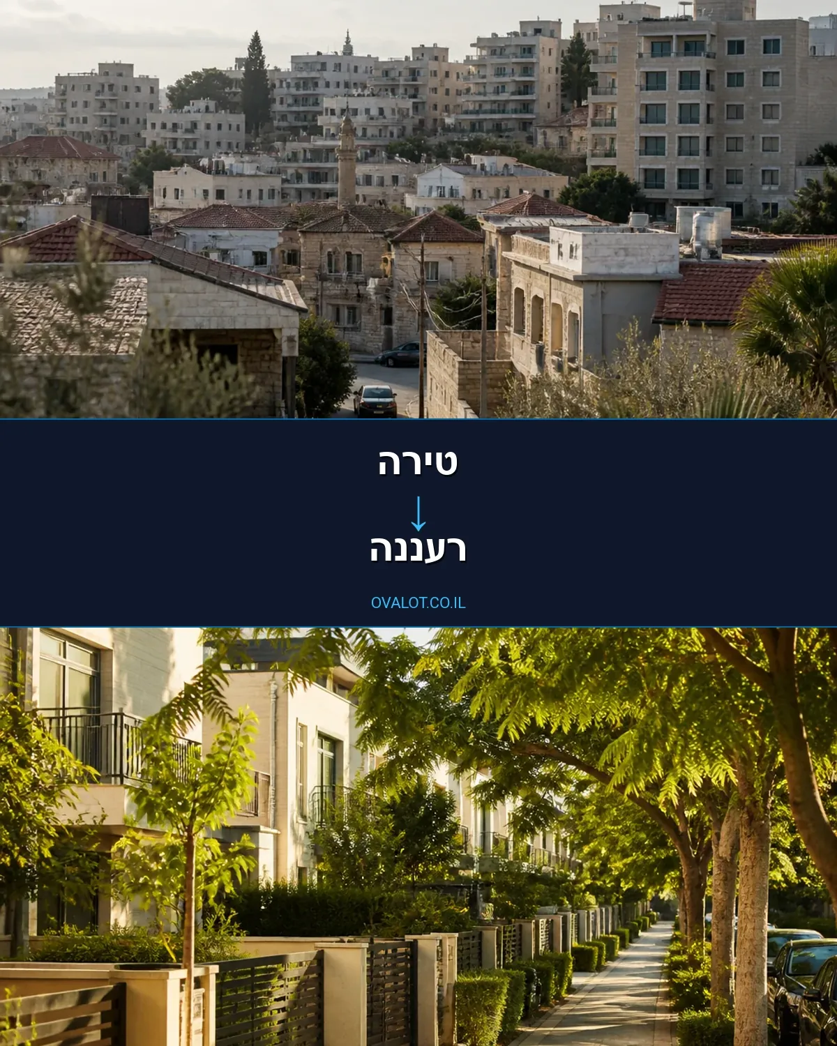 הובלות עם מנוף מטירה לרעננה