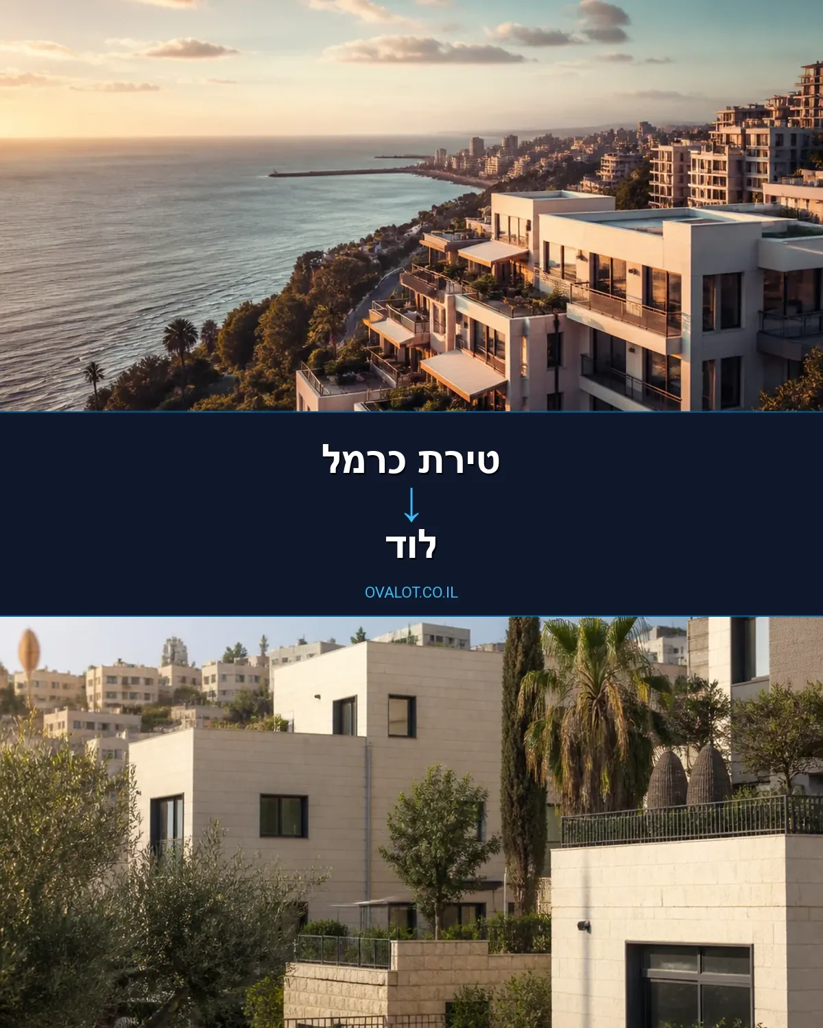 הובלות עם מנוף מטירת כרמל ללוד