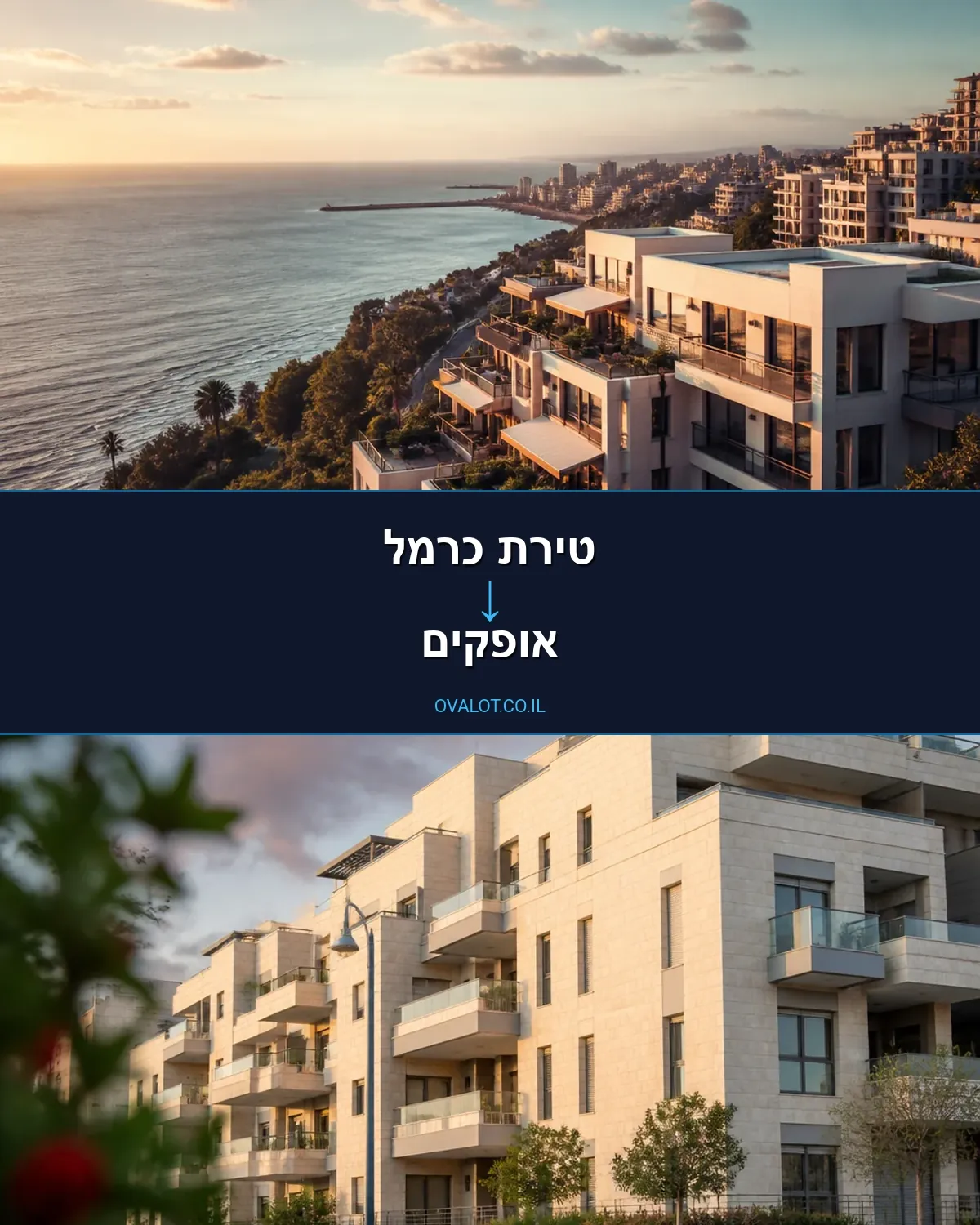 הובלות יצירות אמנות מטירת כרמל לאופקים