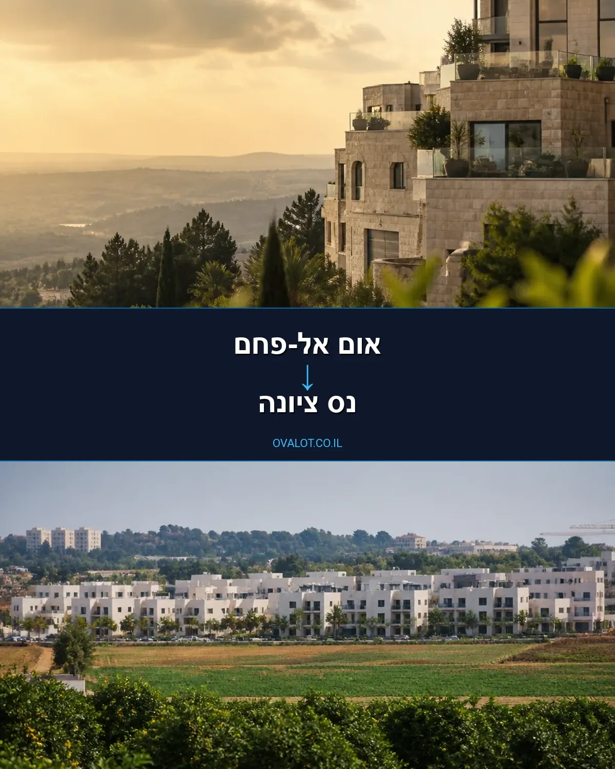 שירותי אריזה מאום אל-פחם לנס ציונה