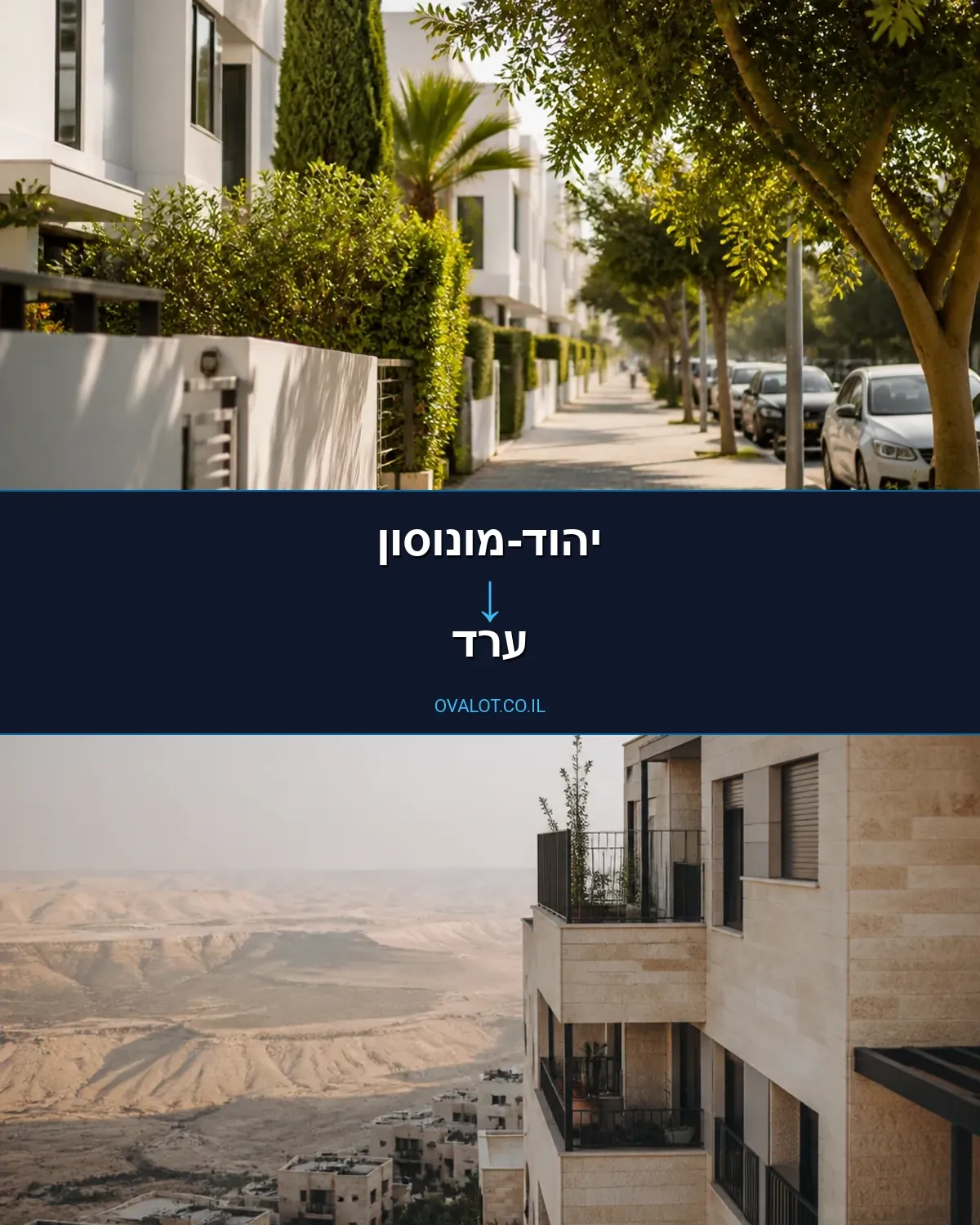 הובלות יצירות אמנות מיהוד-מונוסון לערד