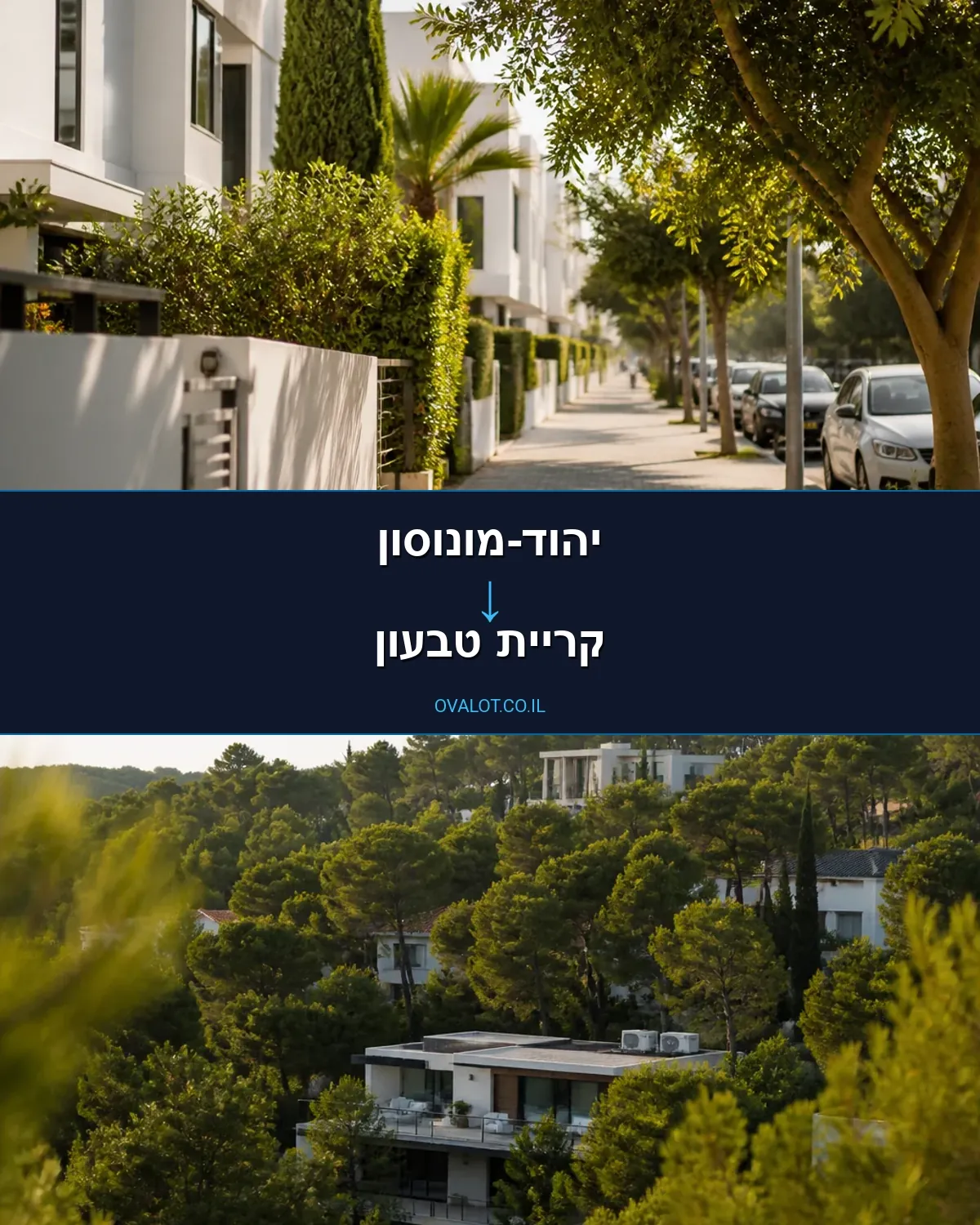 הובלות עם מנוף מיהוד-מונוסון לקריית טבעון
