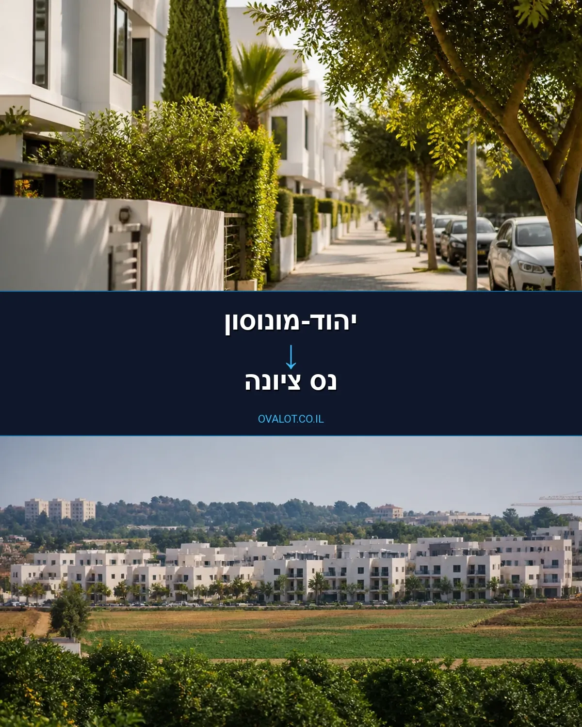 הובלות עם מנוף מיהוד-מונוסון לנס ציונה