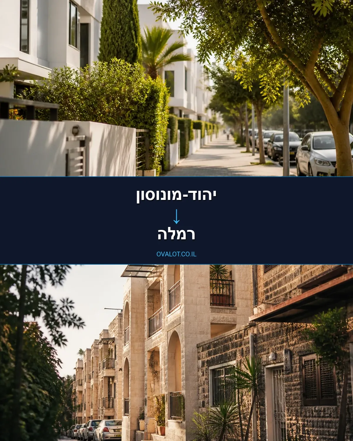 הובלות יצירות אמנות מיהוד-מונוסון לרמלה