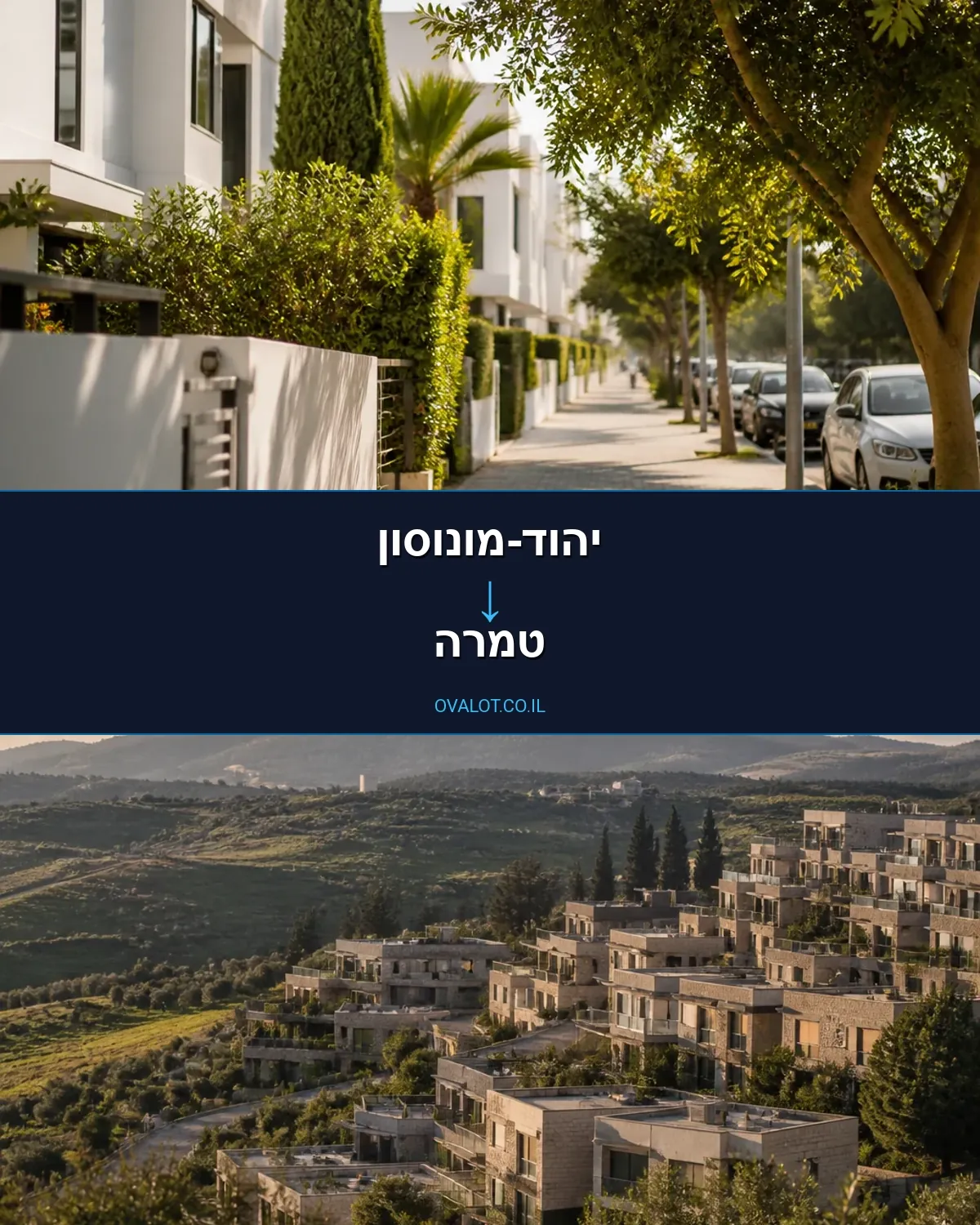 הובלות עם מנוף מיהוד-מונוסון לטמרה