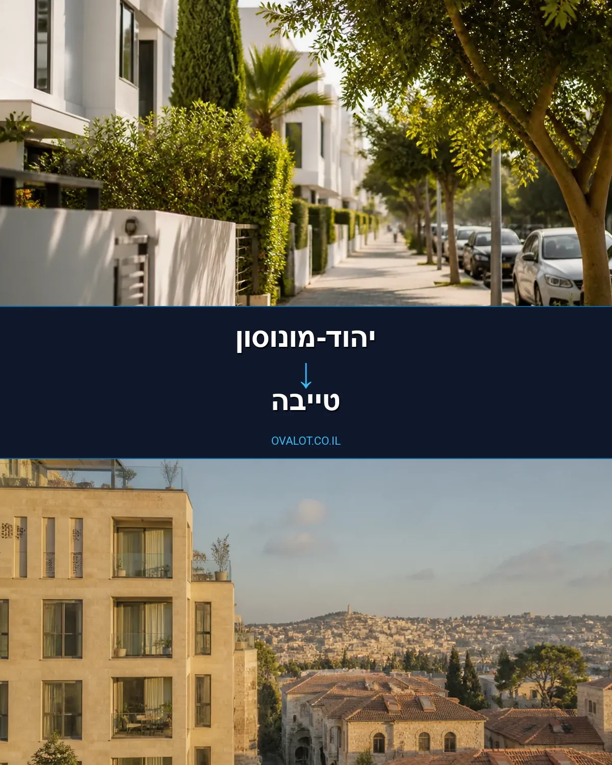הובלות עם מנוף מיהוד-מונוסון לטייבה