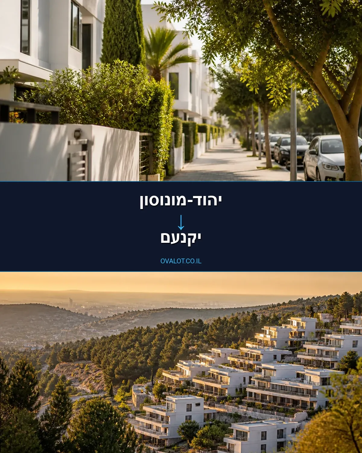 הובלות עם מנוף מיהוד-מונוסון ליקנעם