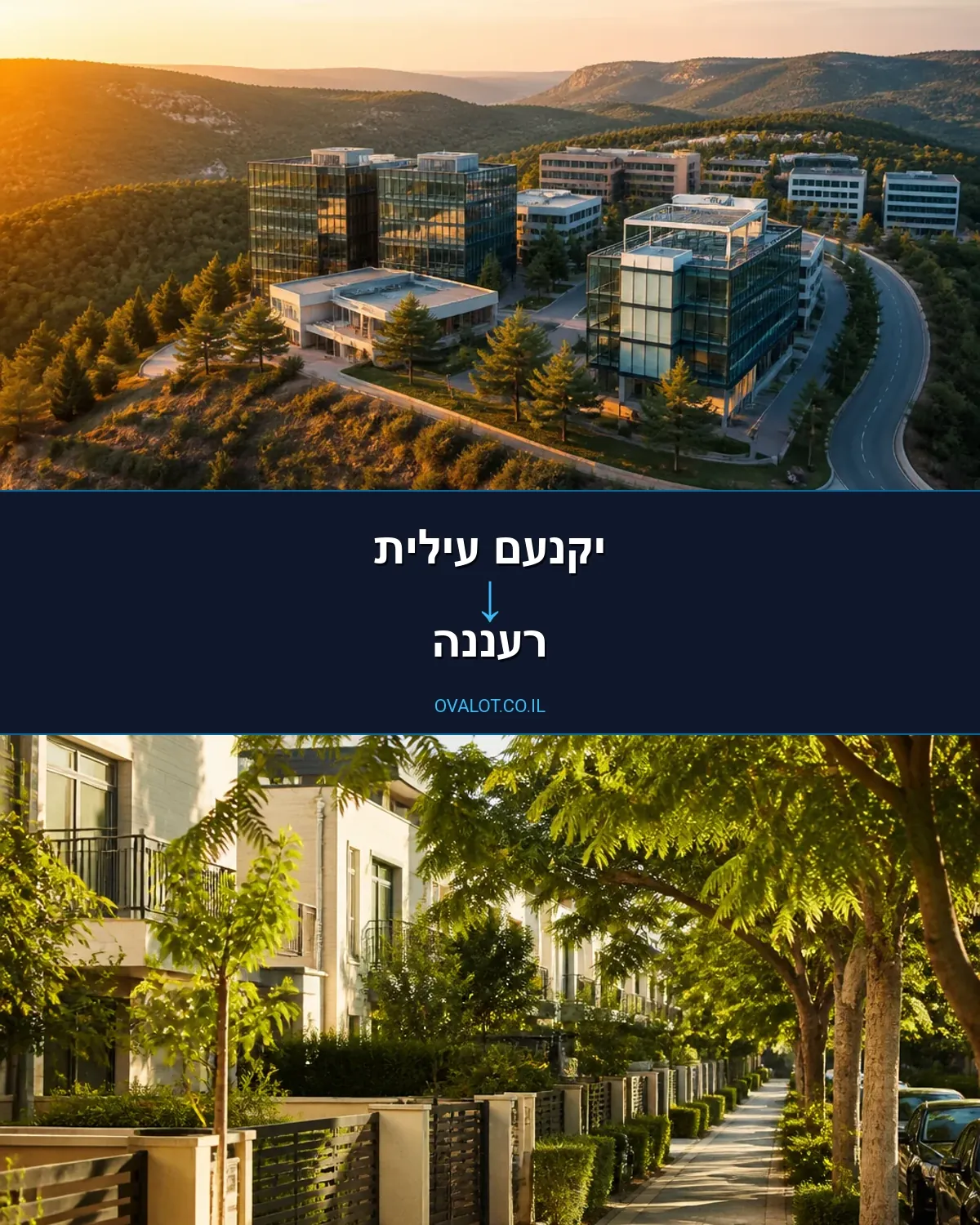 הובלות דירה מיקנעם עילית לרעננה