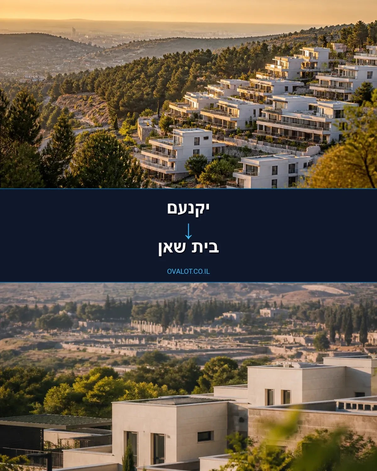 שירותי אריזה מיקנעם לבית שאן