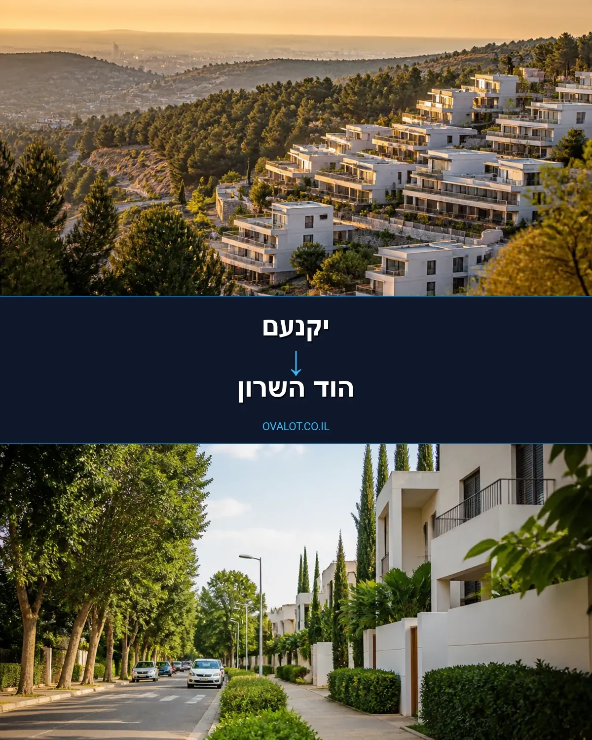 הובלות עם מנוף מיקנעם להוד השרון