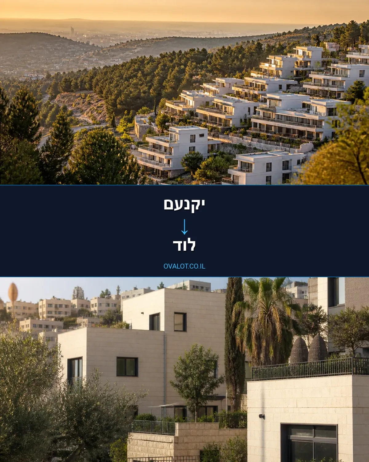 הובלות עם מנוף מיקנעם ללוד