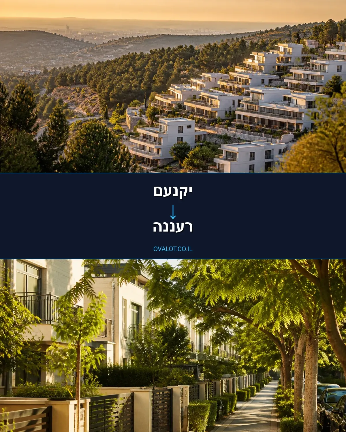 הובלות דירה מיקנעם לרעננה