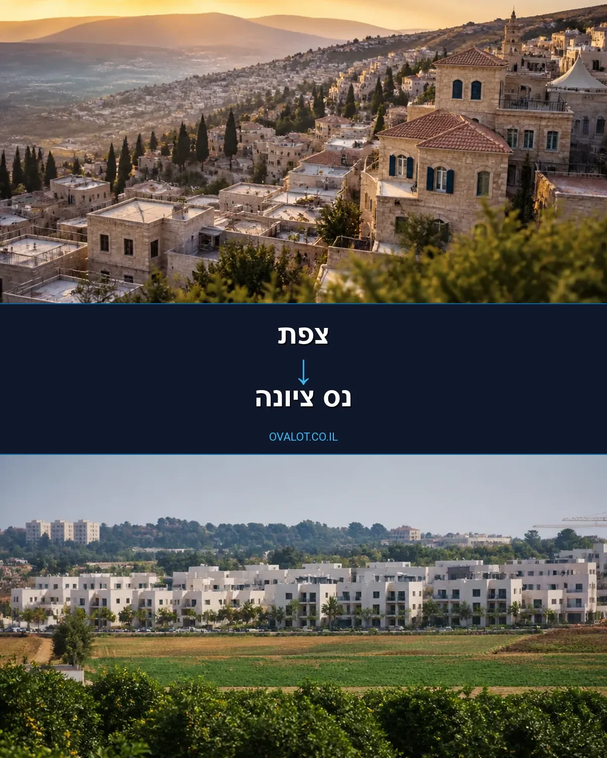 הובלות דירה מצפת לנס ציונה
