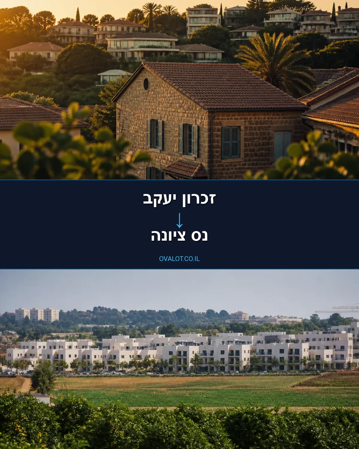 הובלות עם מעלית מזכרון יעקב לנס ציונה