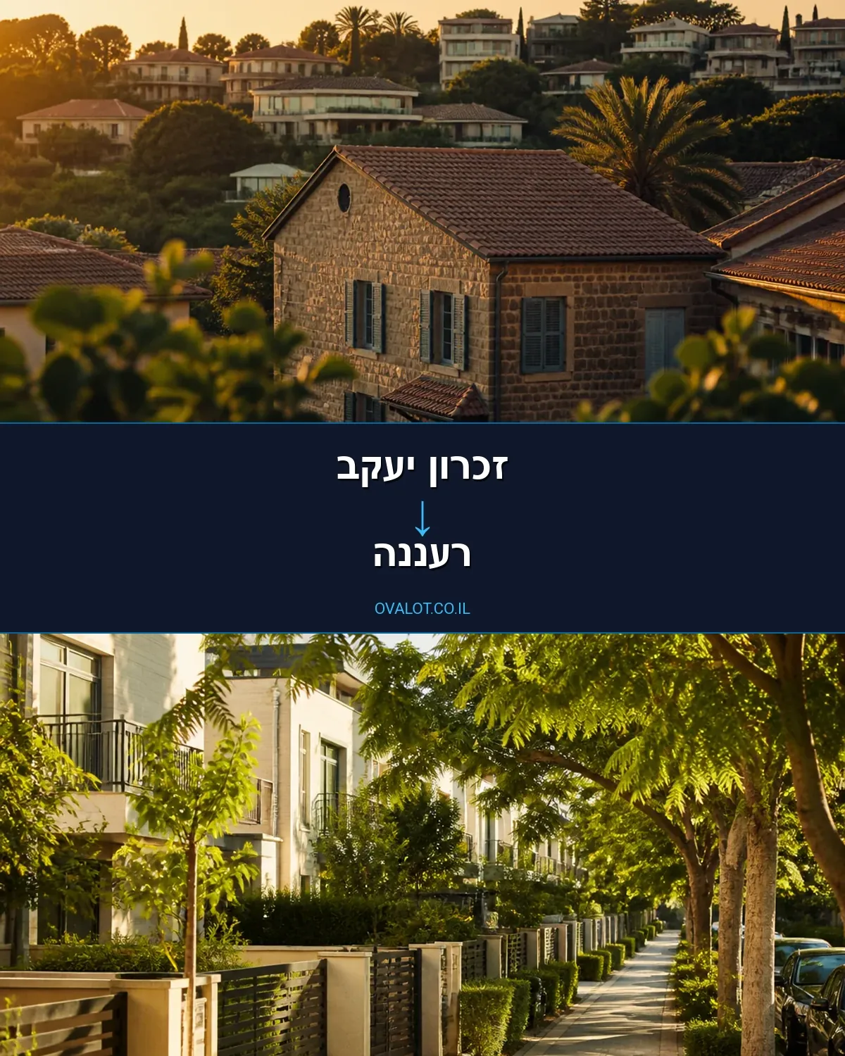 הובלות דירה מזכרון יעקב לרעננה