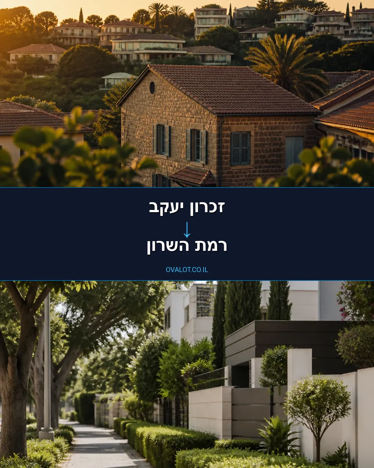 הובלות עם מנוף מזכרון יעקב לרמת השרון